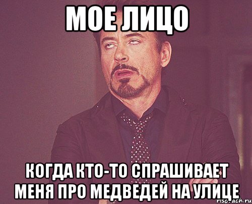 мое лицо когда кто-то спрашивает меня про медведей на улице, Мем твое выражение лица