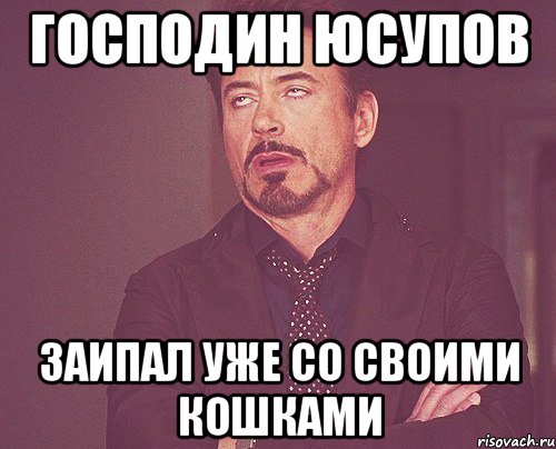 господин юсупов заипал уже со своими кошками, Мем твое выражение лица