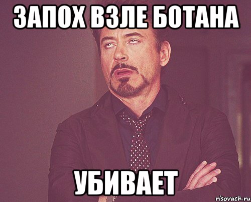 твое лицо когда у твоей сестры конкурс в твой день рождения, Мем твое выражение лица