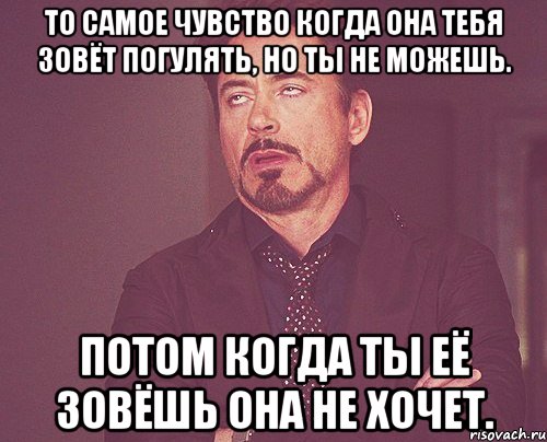 то самое чувство когда она тебя зовёт погулять, но ты не можешь. потом когда ты её зовёшь она не хочет., Мем твое выражение лица