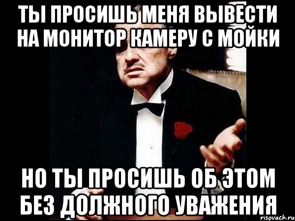 ты просишь меня вывести на монитор камеру с мойки но ты просишь об этом без должного уважения, Мем ты делаешь это без уважения