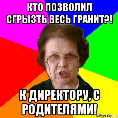 кто позволил сгрызть весь гранит?! к директору, с родителями!, Мем Типичная училка