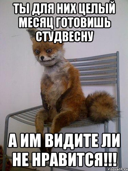 ты для них целый месяц готовишь студвесну а им видите ли не нравится!!!, Мем Упоротая лиса