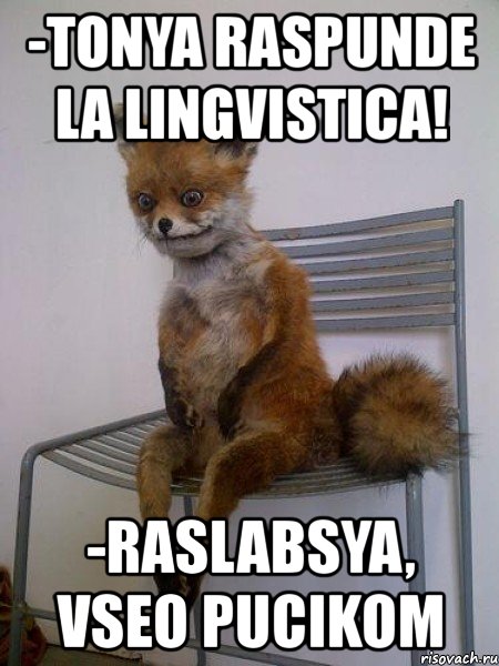 -tonya raspunde la lingvistica! -raslabsya, vseo pucikom, Мем Упоротая лиса