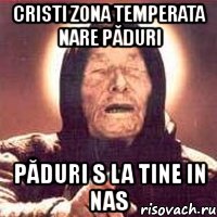 cristi zona temperata nare păduri păduri s la tine in nas, Мем Ванга (цвет)