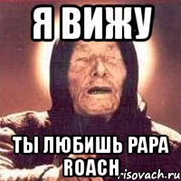 я вижу ты любишь papa roach, Мем Ванга (цвет)