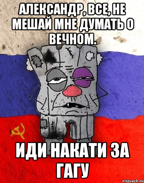 александр, все, не мешай мне думать о вечном. иди накати за гагу, Мем Ватник