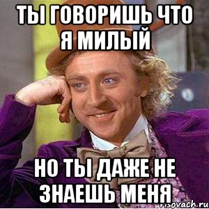 ты говоришь что я милый но ты даже не знаешь меня, Мем Ну давай расскажи (Вилли Вонка)