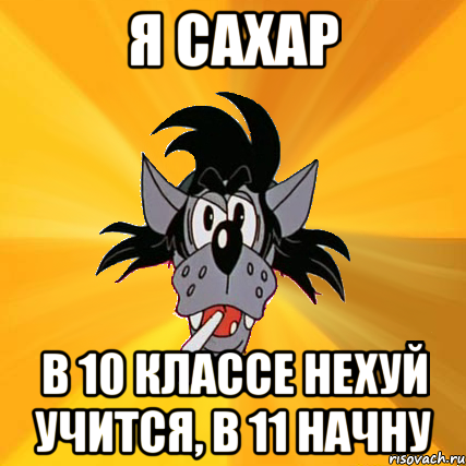 я сахар в 10 классе нехуй учится, в 11 начну, Мем Волк