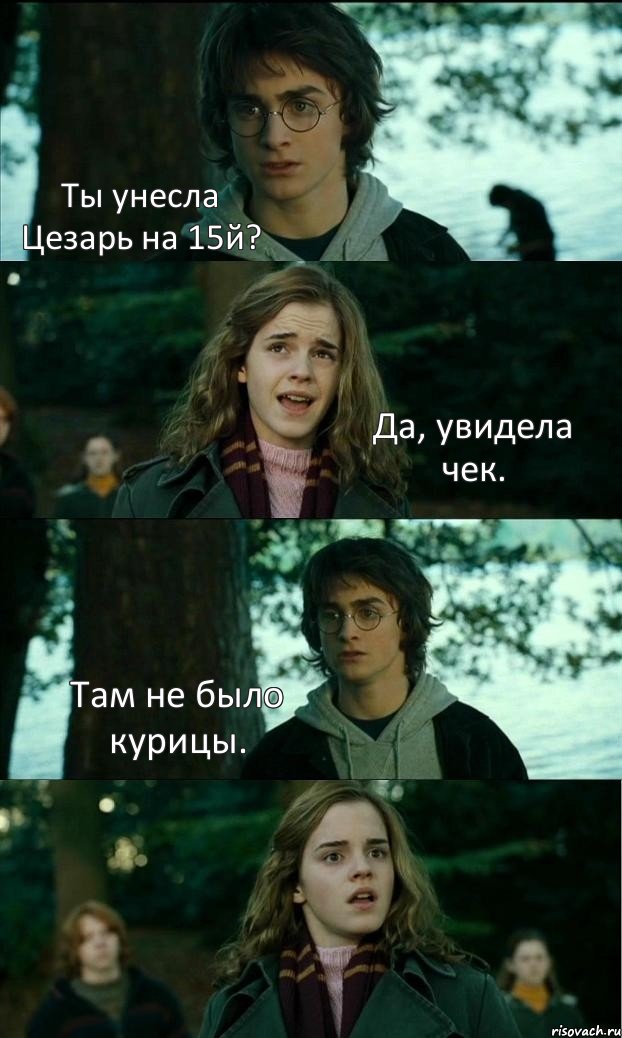 Ты унесла Цезарь на 15й? Да, увидела чек. Там не было курицы. , Комикс Разговор Гарри с Гермионой