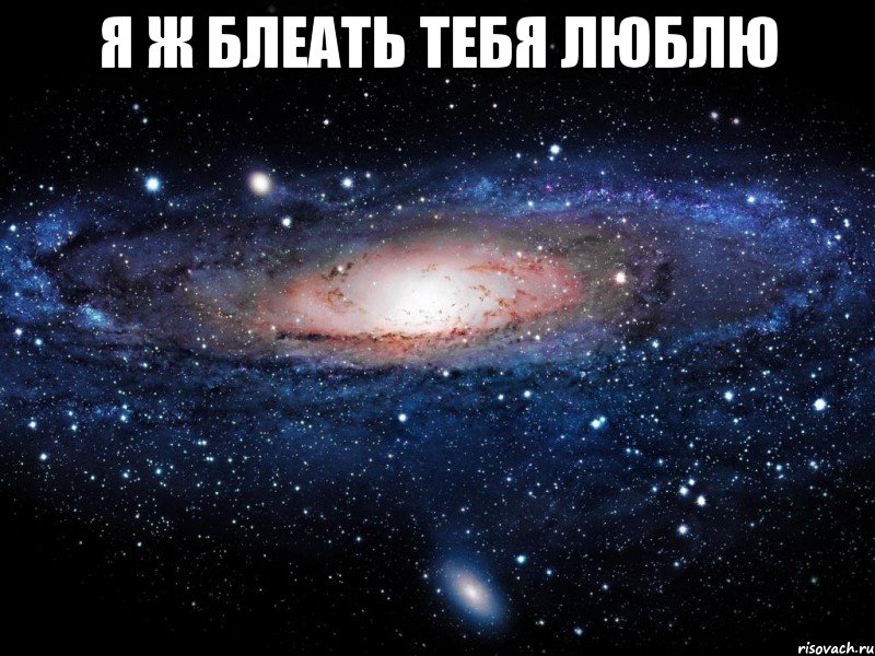 я ж блеать тебя люблю , Мем Вселенная