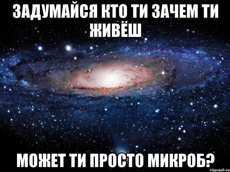 задумайся кто ти зачем ти живёш может ти просто микроб?, Мем Вселенная