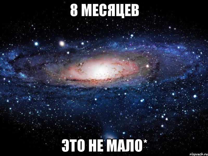 8 месяцев это не мало*, Мем Вселенная