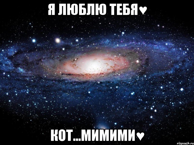 я люблю тебя♥ кот...мимими♥, Мем Вселенная