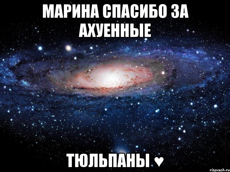 марина спасибо за ахуенные тюльпаны ♥, Мем Вселенная