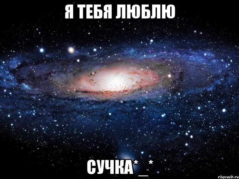 я тебя люблю сучка*_*, Мем Вселенная