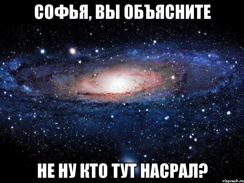 софья, вы объясните не ну кто тут насрал?, Мем Вселенная