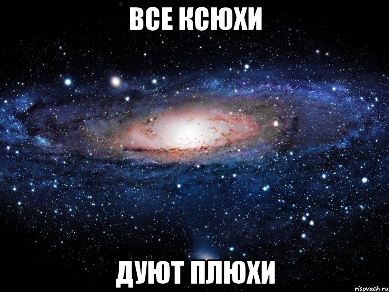 все ксюхи дуют плюхи, Мем Вселенная