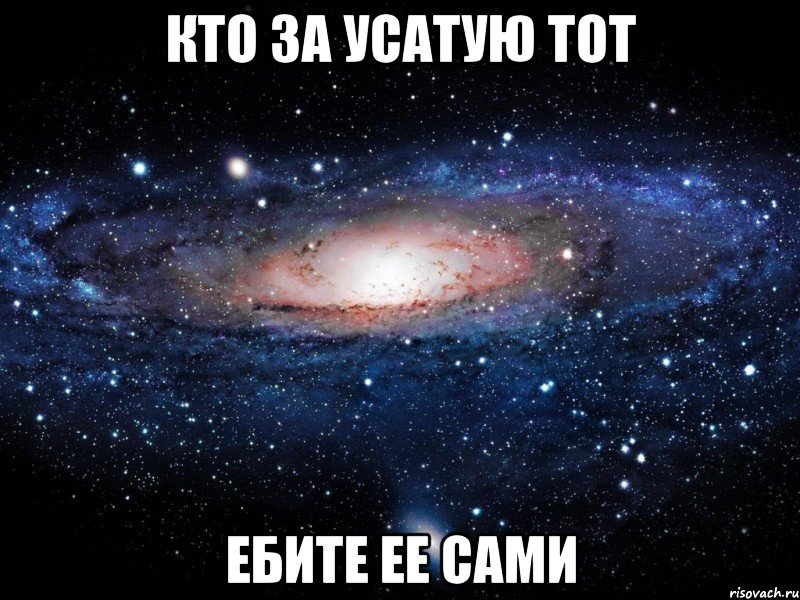 кто за усатую тот ебите ее сами, Мем Вселенная