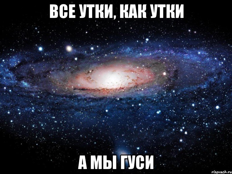 все утки, как утки а мы гуси, Мем Вселенная