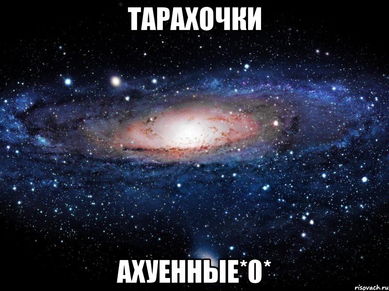 тарахочки ахуенные*0*, Мем Вселенная