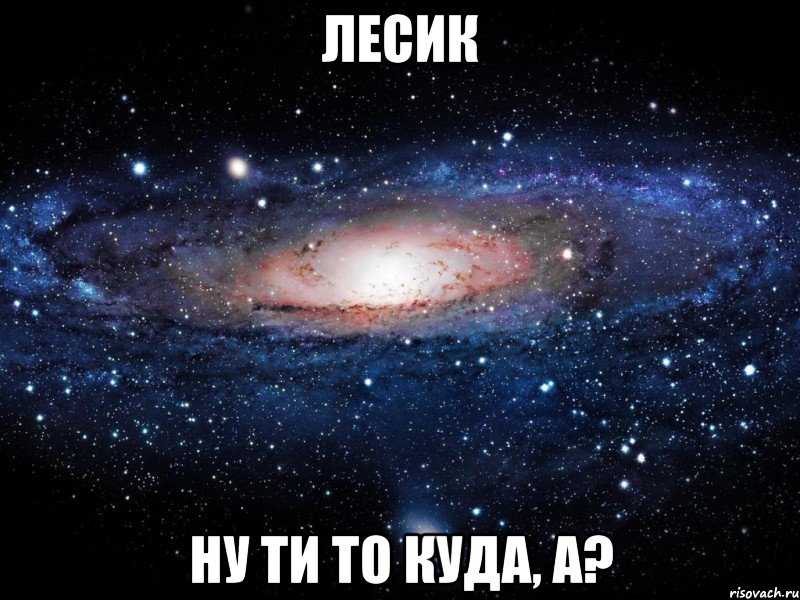 лесик ну ти то куда, а?, Мем Вселенная