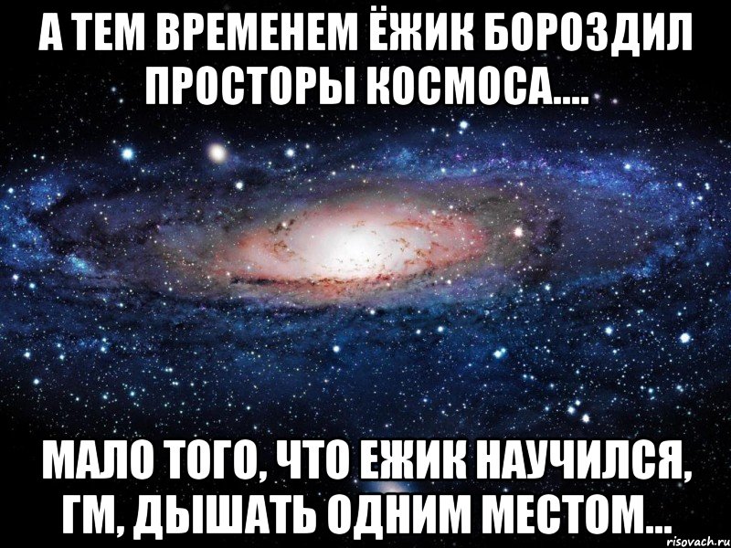 а тем временем ёжик бороздил просторы космоса.... мало того, что ежик научился, гм, дышать одним местом..., Мем Вселенная