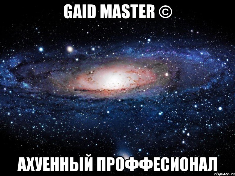 gaid master © ахуенный проффесионал, Мем Вселенная