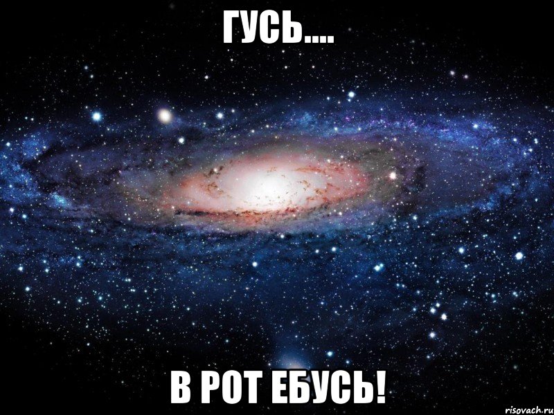 гусь.... в рот ебусь!, Мем Вселенная