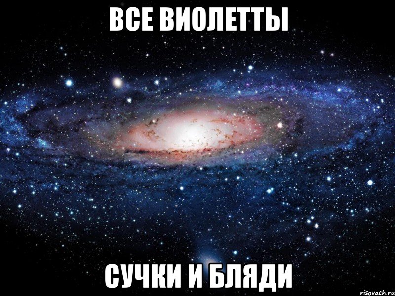 все виолетты сучки и бляди, Мем Вселенная