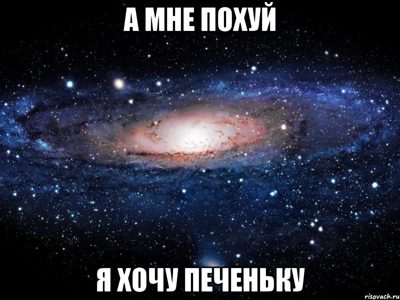 а мне похуй я хочу печеньку, Мем Вселенная