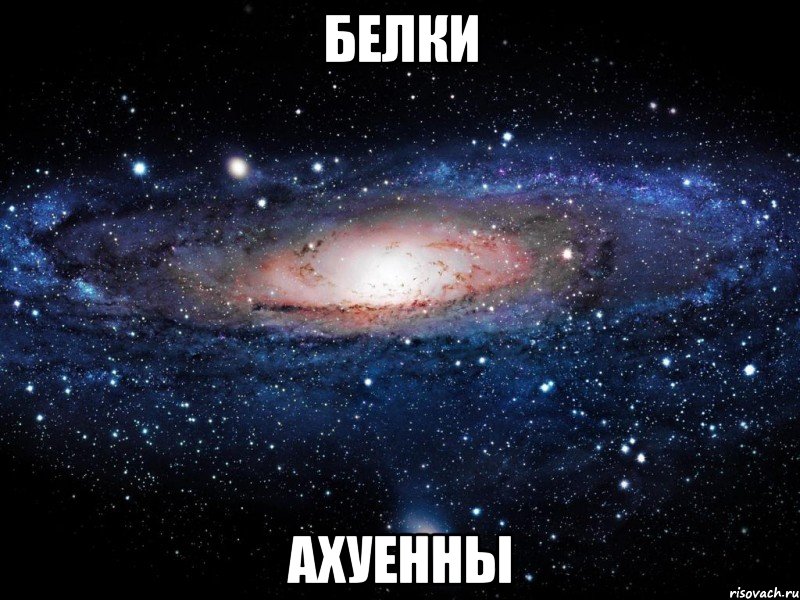 белки ахуенны, Мем Вселенная