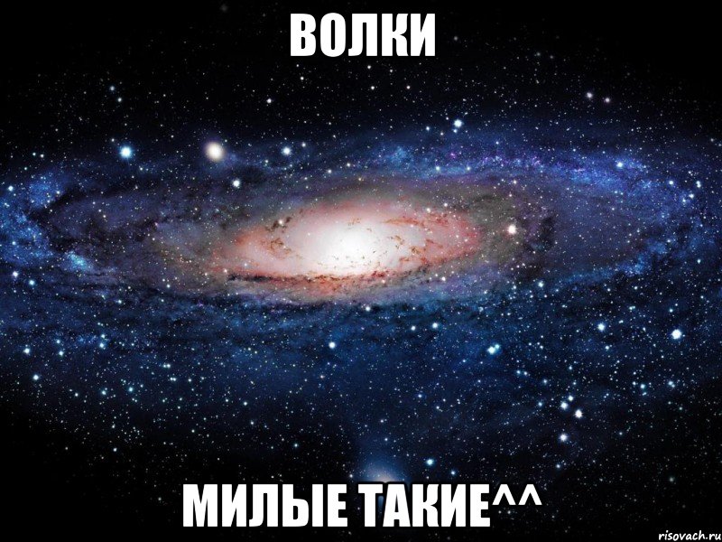 волки милые такие^^, Мем Вселенная