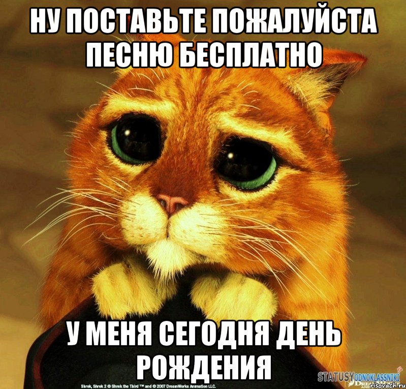 ну поставьте пожалуйста песню бесплатно у меня сегодня день рождения, Мем Котик из Шрека