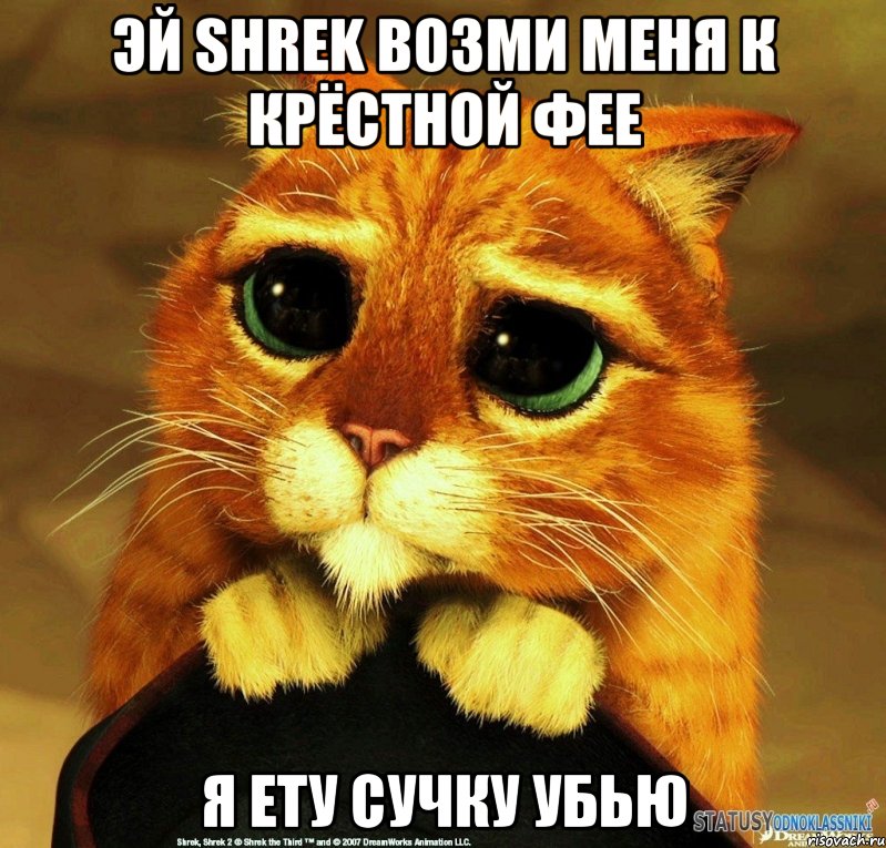 эй shrek возми меня к крёстной фее я ету сучку убью, Мем Котик из Шрека