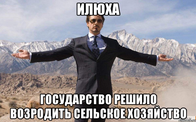 илюха государство решило возродить сельское хозяйство, Мем железный человек