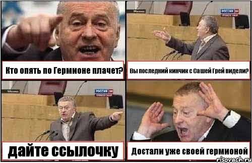 Кто опять по Гермионе плачет? Вы последний кинчик с Сашей Грей видели? дайте ссылочку Достали уже своей гермионой, Комикс жиреновский