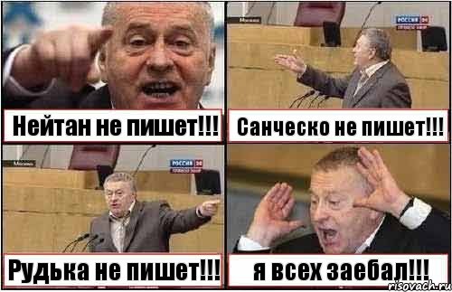 Нейтан не пишет!!! Санческо не пишет!!! Рудька не пишет!!! я всех заебал!!!, Комикс жиреновский