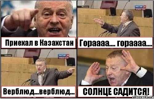 Приехал в Казахстан Гораааа.... гораааа.... Верблюд...верблюд... СОЛНЦЕ САДИТСЯ!, Комикс жиреновский