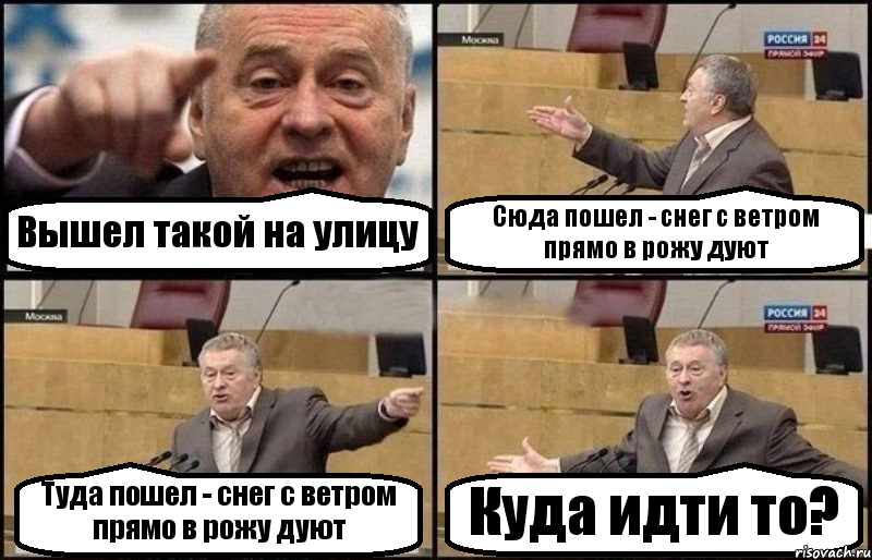 Вышел такой на улицу Сюда пошел - снег с ветром прямо в рожу дуют Туда пошел - снег с ветром прямо в рожу дуют Куда идти то?, Комикс Жириновский