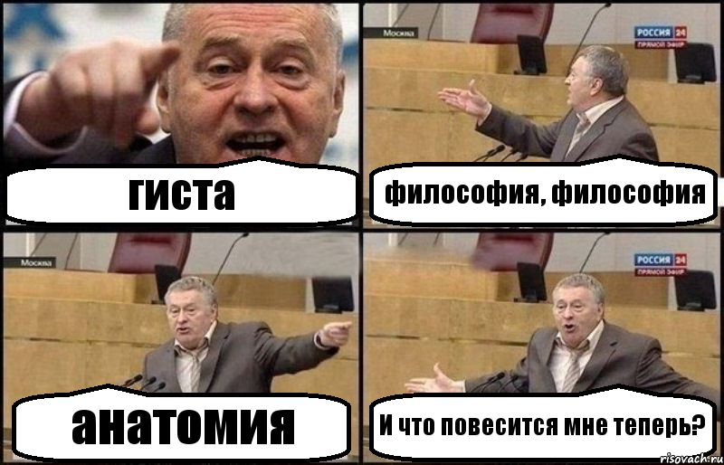 гиста философия, философия анатомия И что повесится мне теперь?, Комикс Жириновский