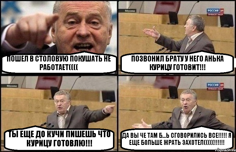 ПОШЕЛ В СТОЛОВУЮ ПОКУШАТЬ НЕ РАБОТАЕТ(((( ПОЗВОНИЛ БРАТУ У НЕГО АНЬКА КУРИЦУ ГОТОВИТ!!! ТЫ ЕЩЕ ДО КУЧИ ПИШЕШЬ ЧТО КУРИЦУ ГОТОВЛЮ!!! ДА ВЫ ЧЕ ТАМ Б...Ь СГОВОРИЛИСЬ ВСЕ!!! Я ЕЩЕ БОЛЬШЕ ЖРАТЬ ЗАХОТЕЛ(((((!!!, Комикс Жириновский