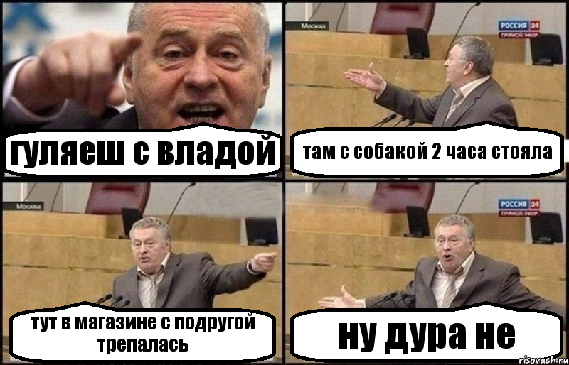 гуляеш с владой там с собакой 2 часа стояла тут в магазине с подругой трепалась ну дура не, Комикс Жириновский