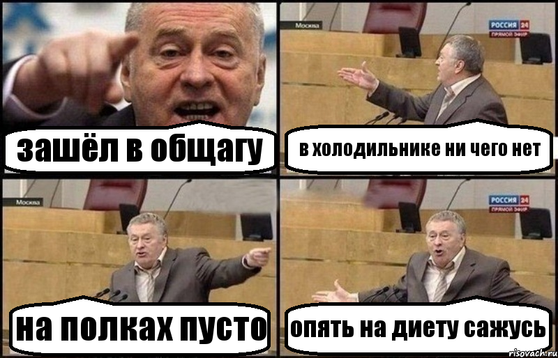 зашёл в общагу в холодильнике ни чего нет на полках пусто опять на диету сажусь, Комикс Жириновский