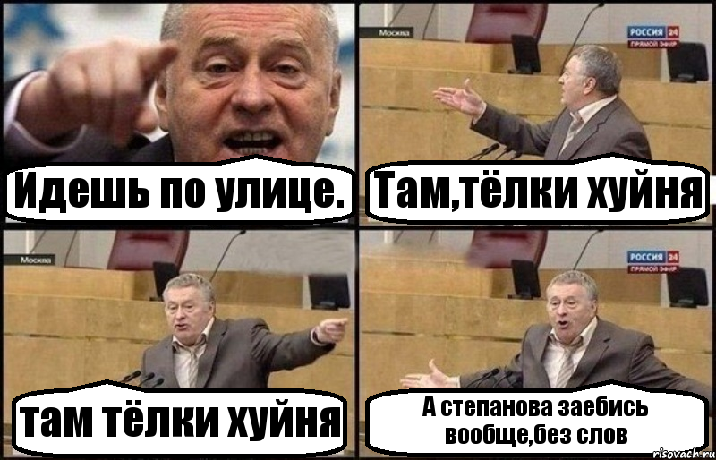 Идешь по улице. Там,тёлки хуйня там тёлки хуйня А степанова заебись вообще,без слов, Комикс Жириновский