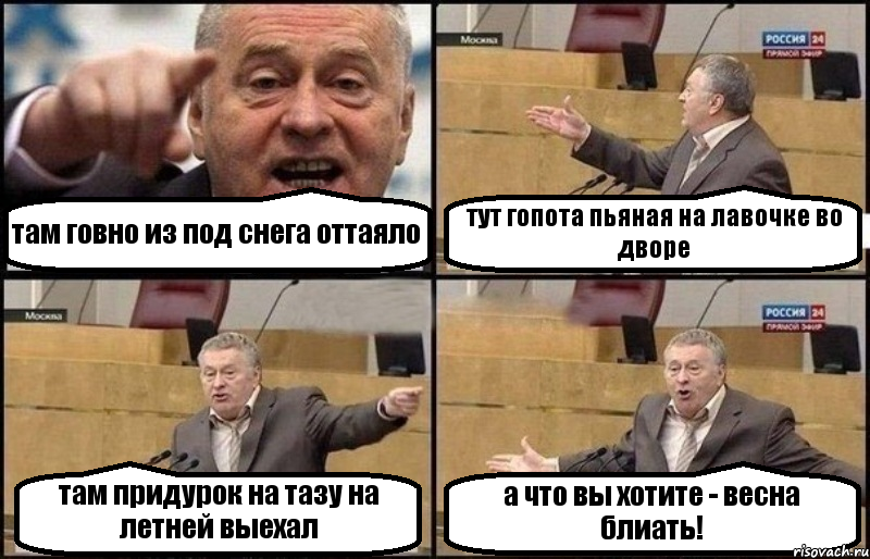 там говно из под снега оттаяло тут гопота пьяная на лавочке во дворе там придурок на тазу на летней выехал а что вы хотите - весна блиать!, Комикс Жириновский