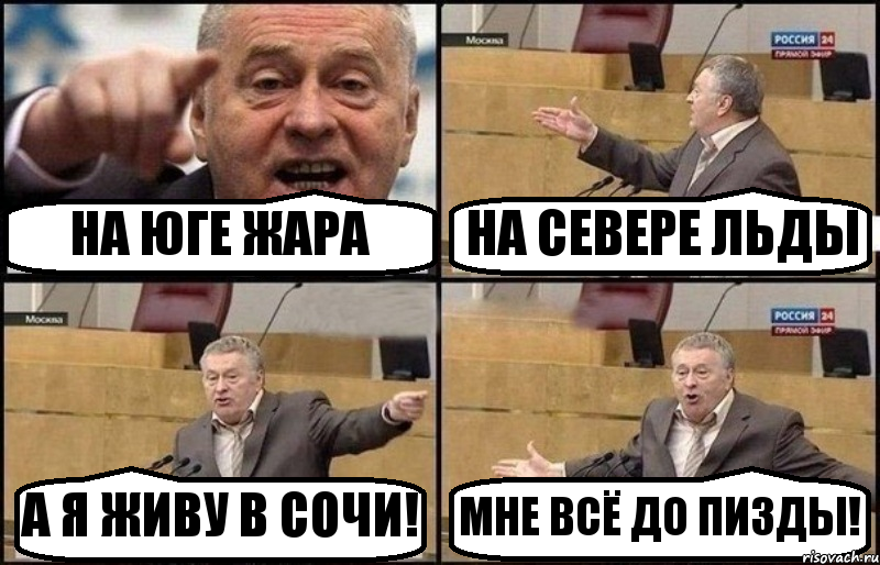 НА ЮГЕ ЖАРА НА СЕВЕРЕ ЛЬДЫ А Я ЖИВУ В СОЧИ! МНЕ ВСЁ ДО ПИЗДЫ!, Комикс Жириновский