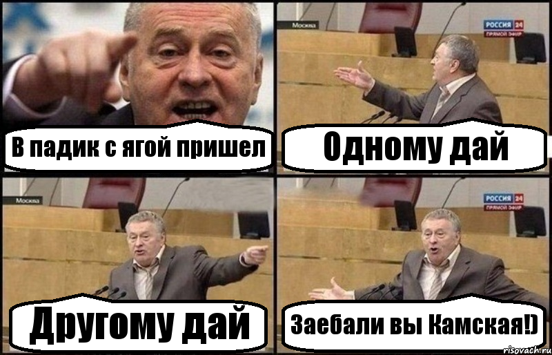 В падик с ягой пришел Одному дай Другому дай Заебали вы Камская!), Комикс Жириновский