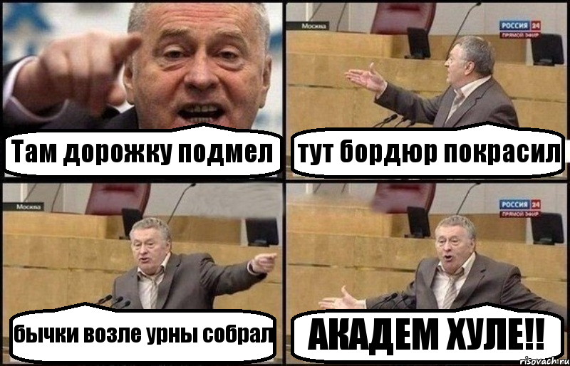 Там дорожку подмел тут бордюр покрасил бычки возле урны собрал АКАДЕМ ХУЛЕ!!, Комикс Жириновский