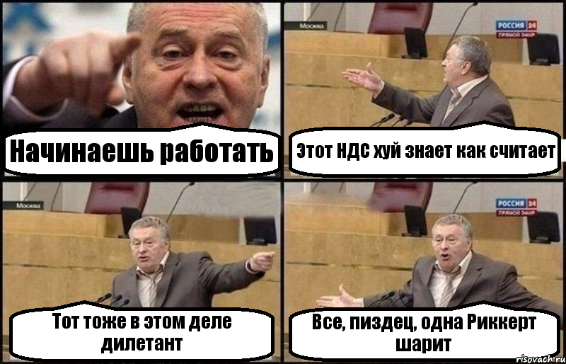 Начинаешь работать Этот НДС хуй знает как считает Тот тоже в этом деле дилетант Все, пиздец, одна Риккерт шарит, Комикс Жириновский